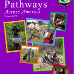 Autumn 2014 Youth Report