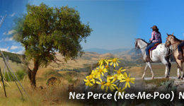 Nez Perce (Nee-Me-Poo) National Historic Trail