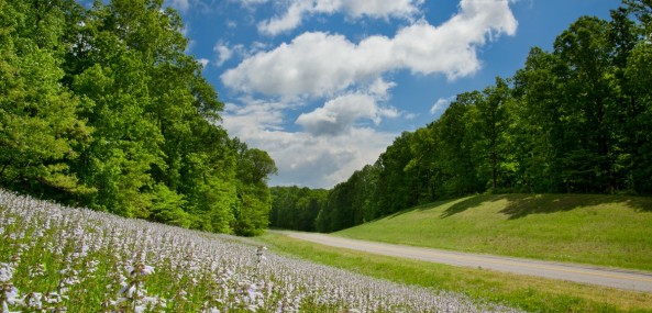 Mile marker 390 to 440, Natchez Trace Parkway