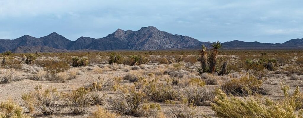 Avi Kwa Ame, or Spirit Mountain. A desert landscape. 