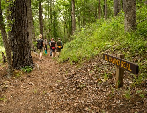 Trail with an El Camino marker 