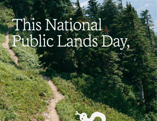 This Public Lands Day,
