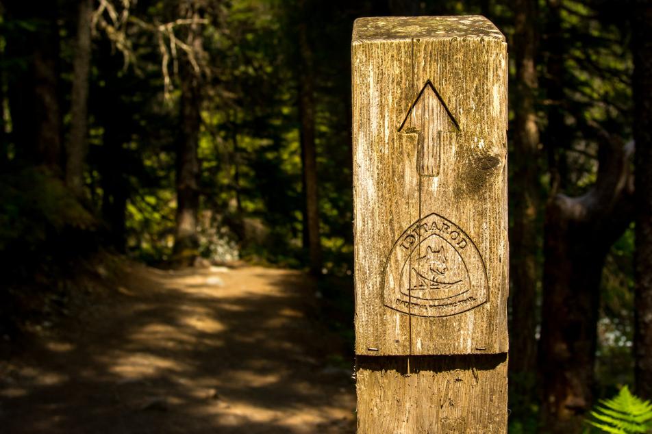 Iditarod Trail Marker pointing forward