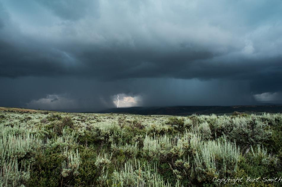 Stormy skies outline a grassy meadow