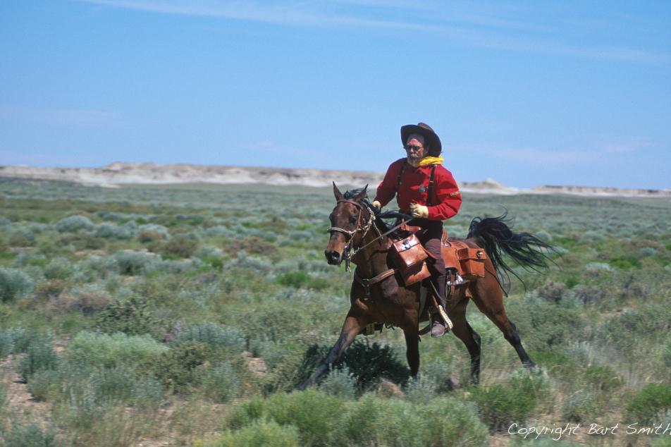 Man riding a brown horse across a green field