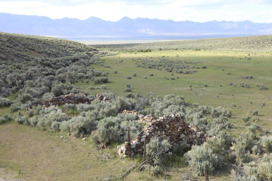 Grassy field with trees in the middle and mountains in the background