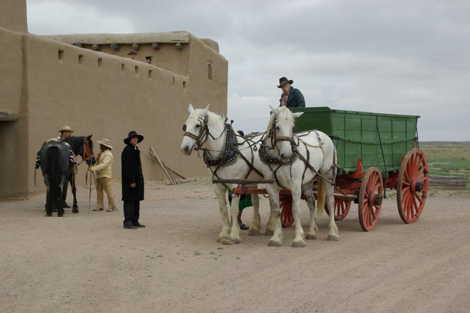 Green cart hooked up to two white horses