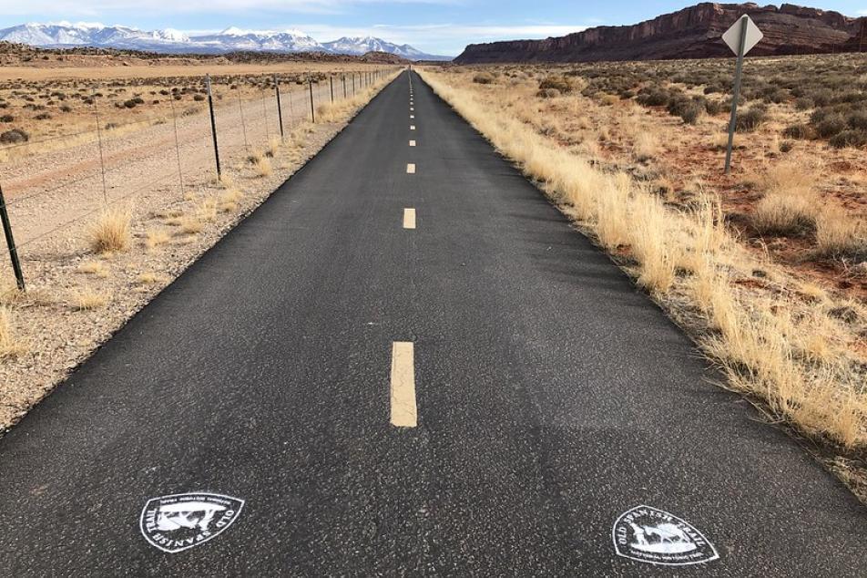 Old Spanish Road Marking