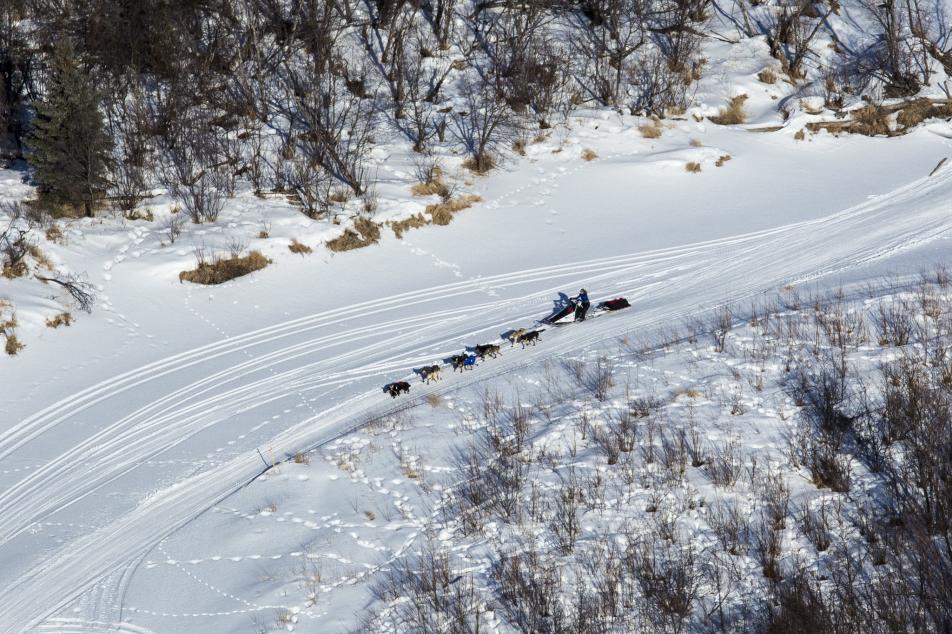 Dog sled being pulled through a snowy trail
