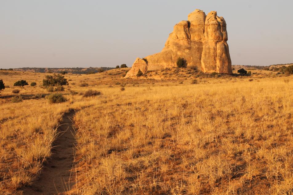 Field with trail leading to rock formation
