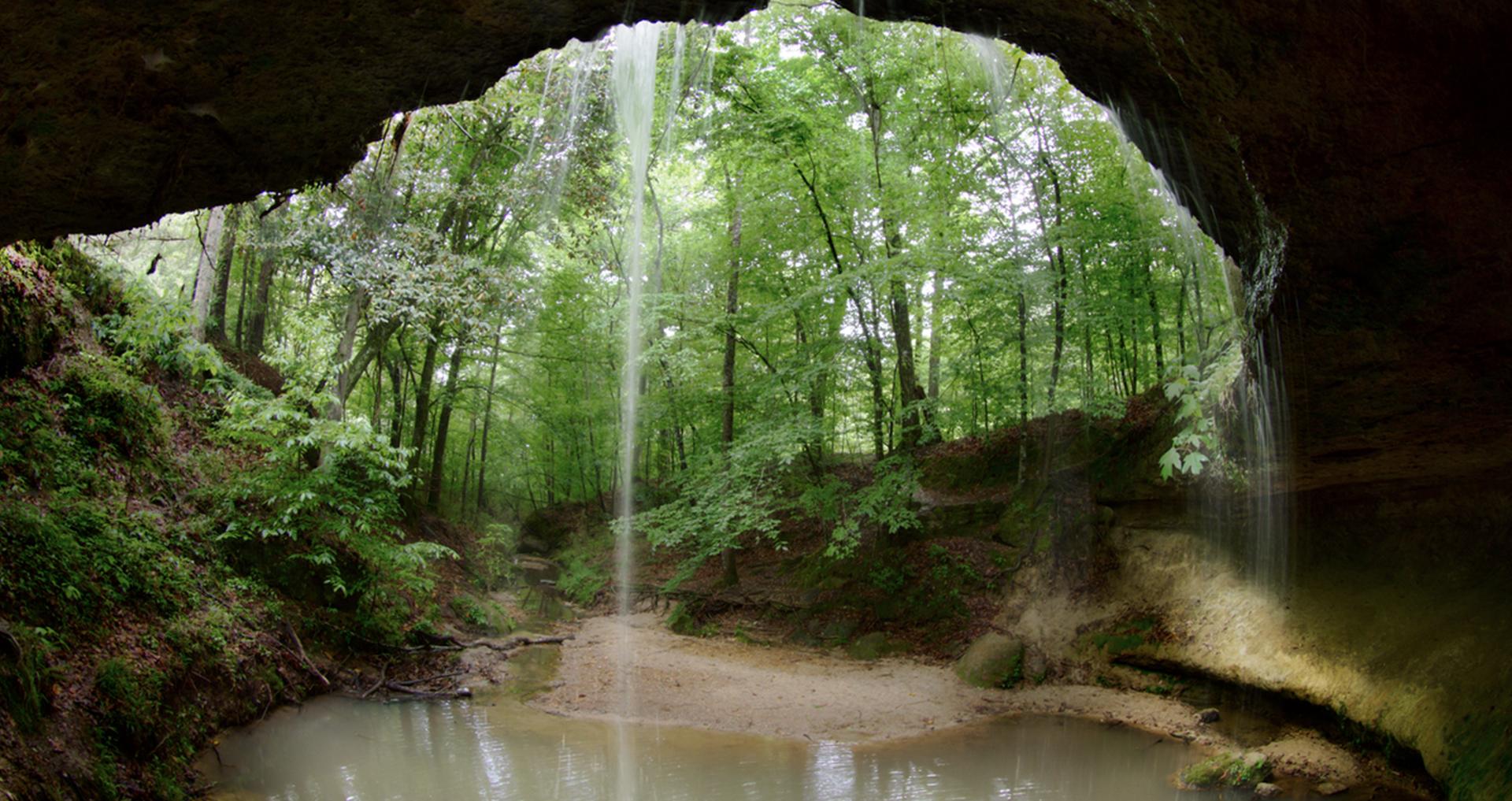 waterfall in the forest