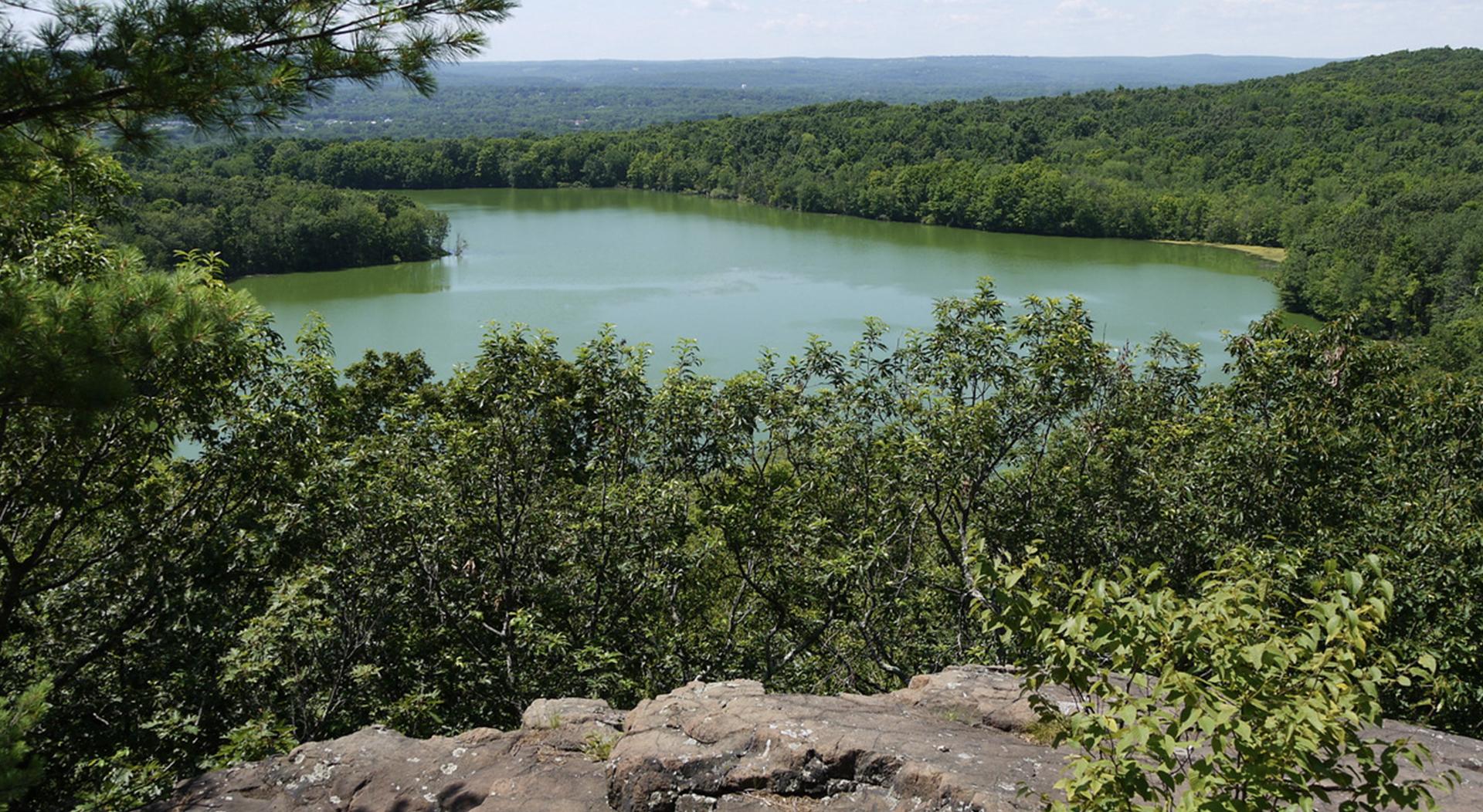 Lake view through the forest