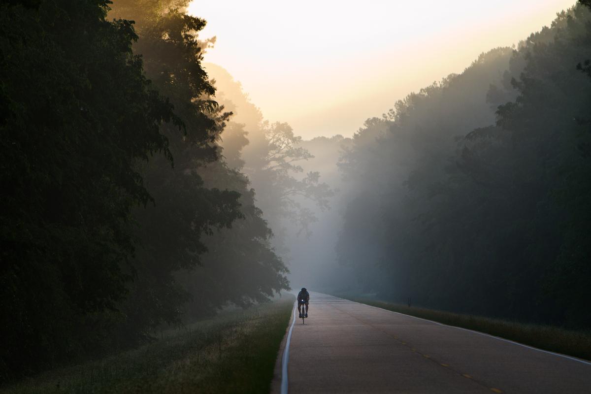 Person biking down a road surrounded by trees with fog in the foreground 