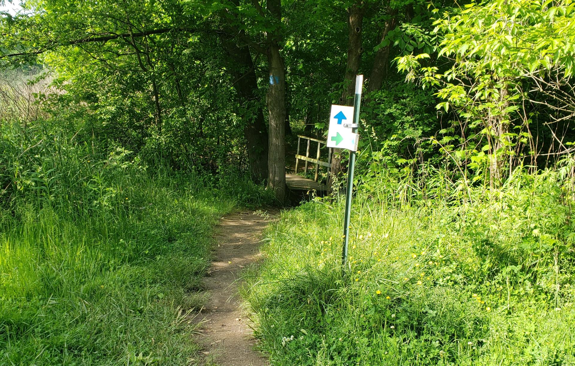 Dirt trail through grass with bridge in the distance 