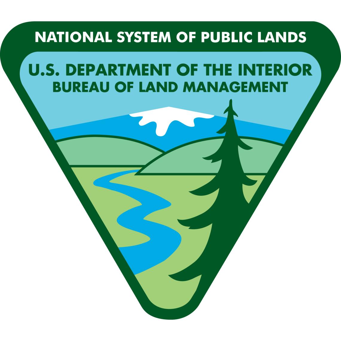 BLM Logo