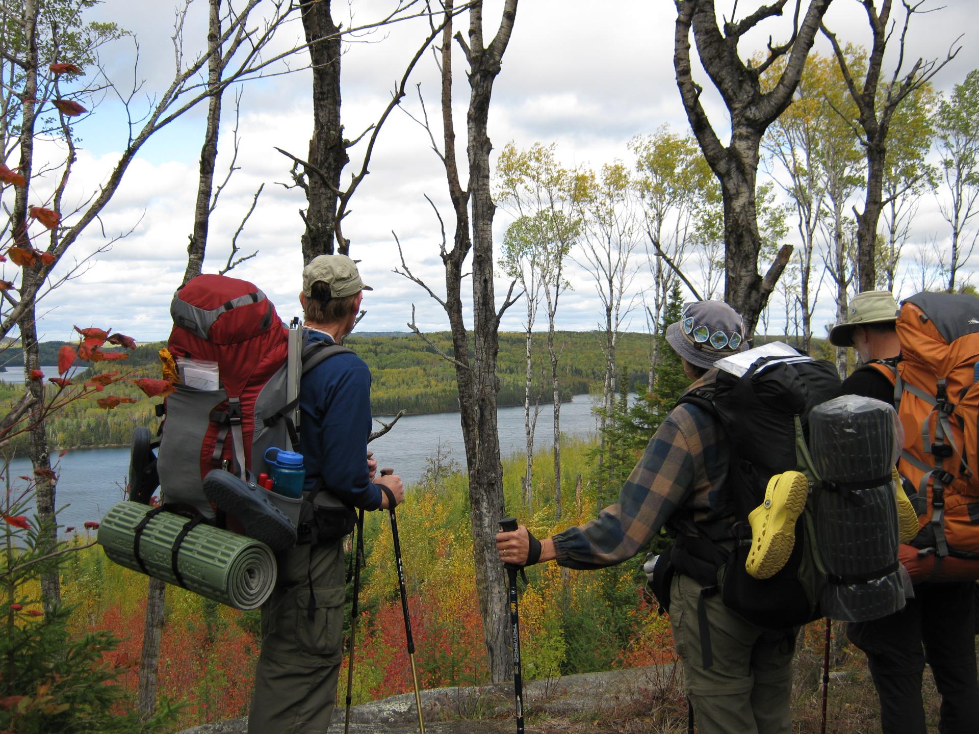 Group of hikers looking through trees out to a river