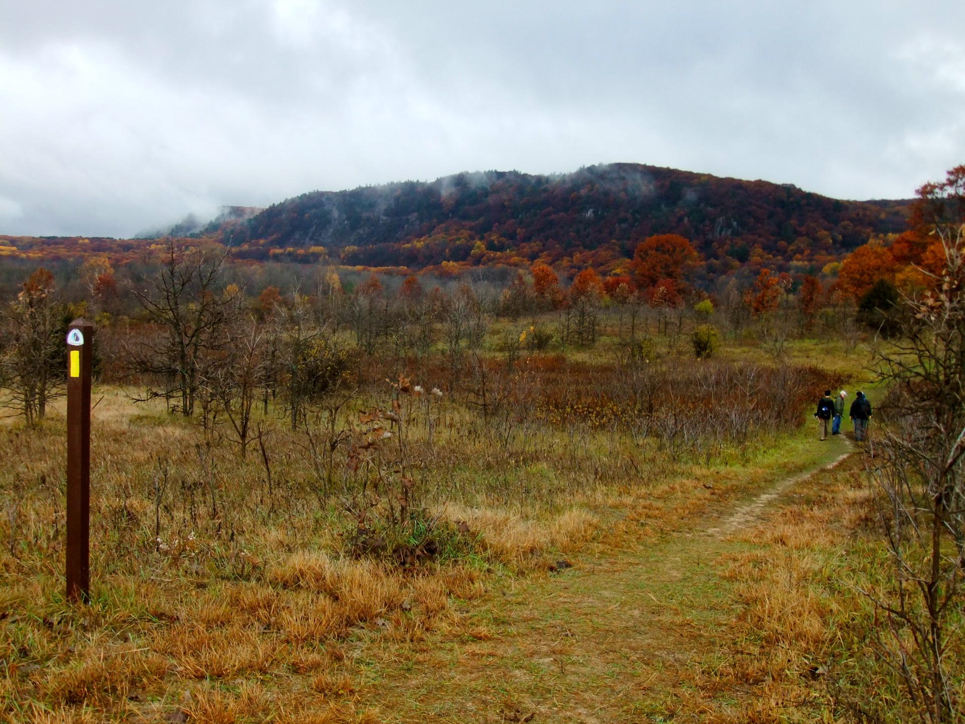 Trail during autumn with a mountain in the background
