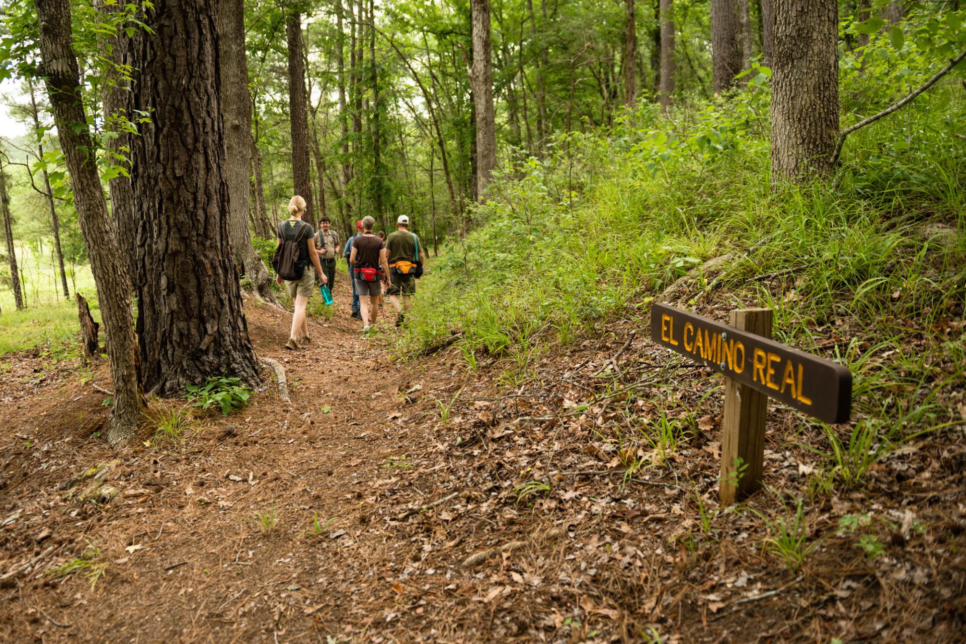 Trail with an El Camino marker 