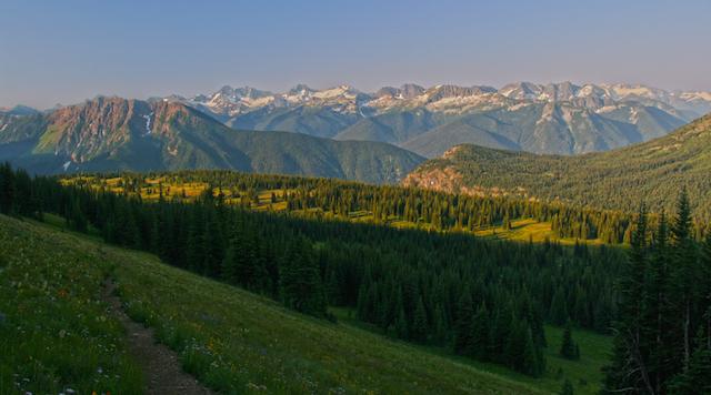 Mountain range in the background of a green forest