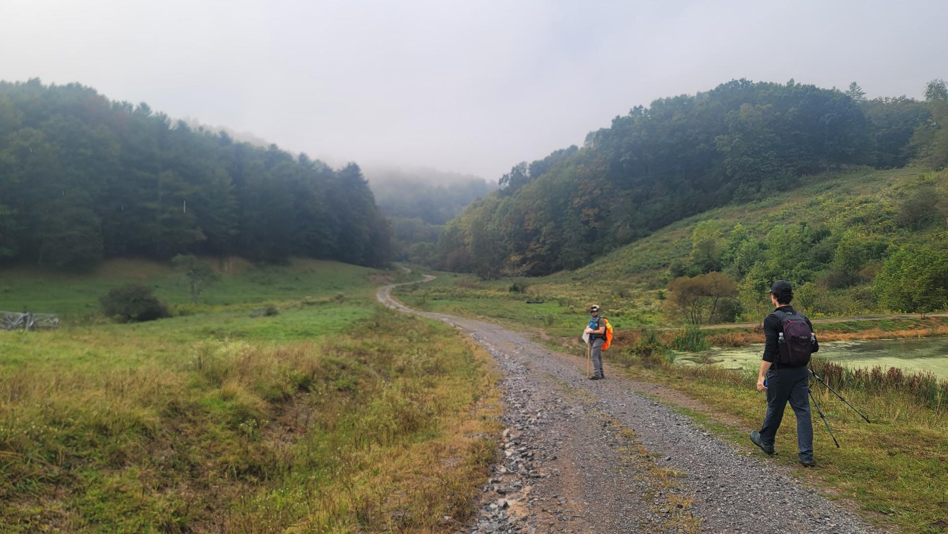 Hikers along a trail