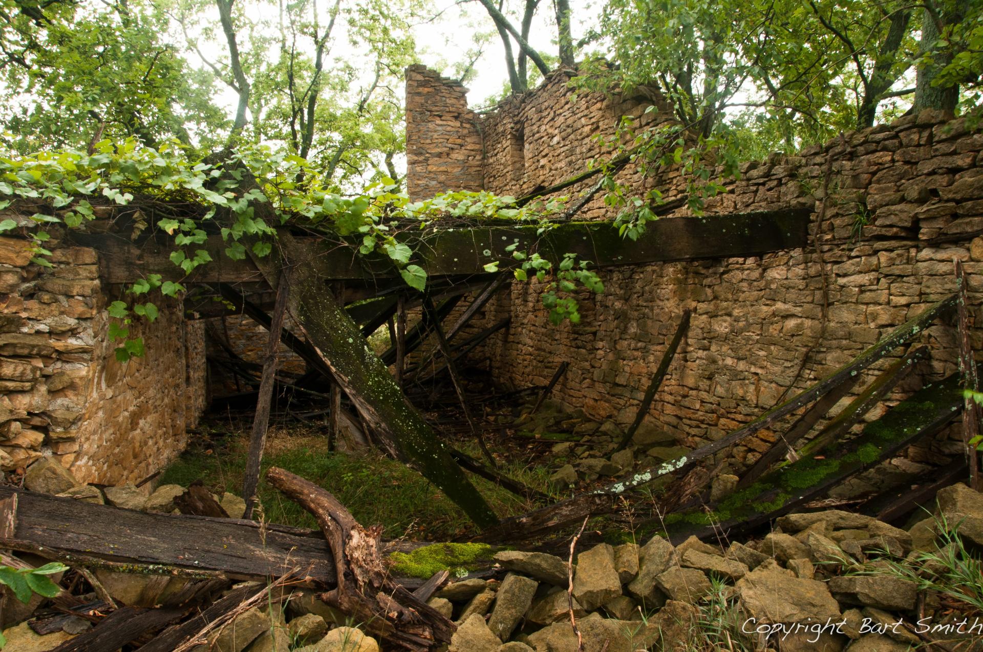 Stone walls in a forest with green leaves covering it