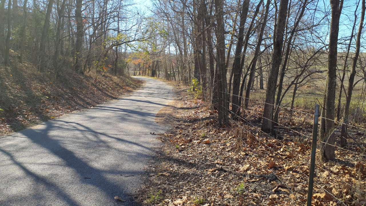 Road through forests
