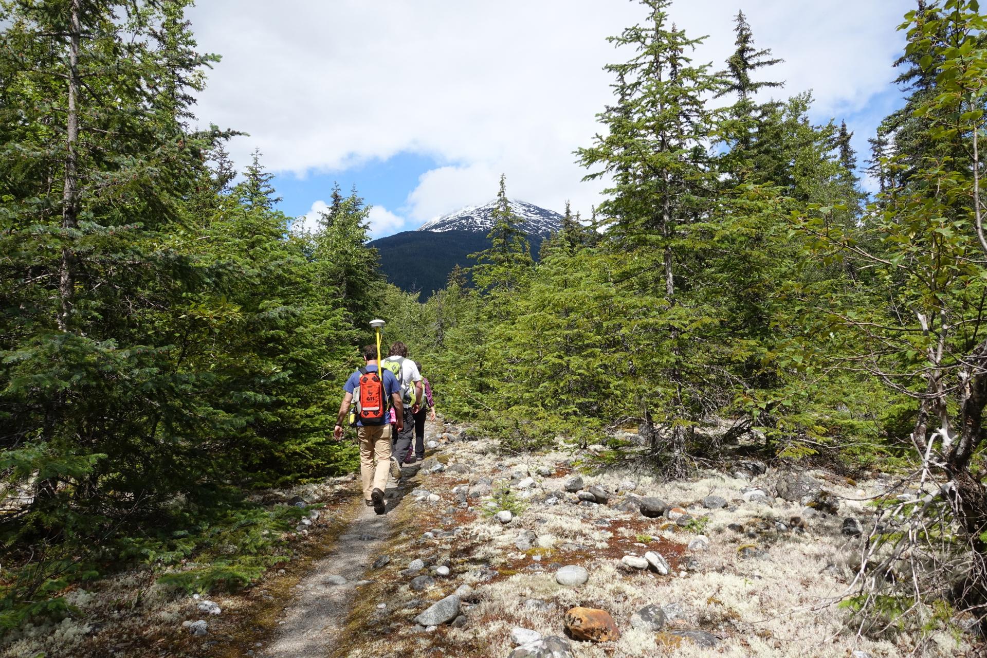 Hikers walking through a trail towards a mountain