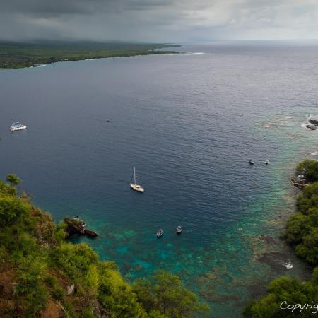 Outlook on a cove surrounded by green trees