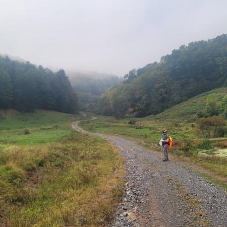 Hikers along a trail