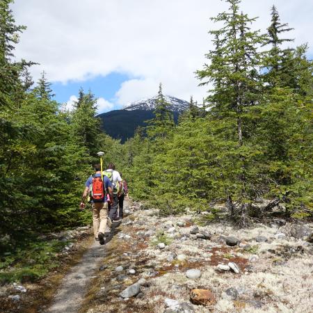 Hikers walking through a trail towards a mountain